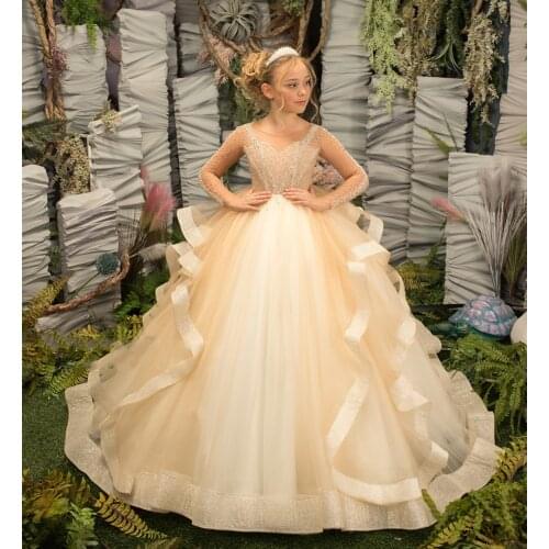 Luxury Bling Bling Long Sleeve Flower Girl Dress for Wedding Beading Crystals Sheer Top Girls Pageant Gown Party Dress