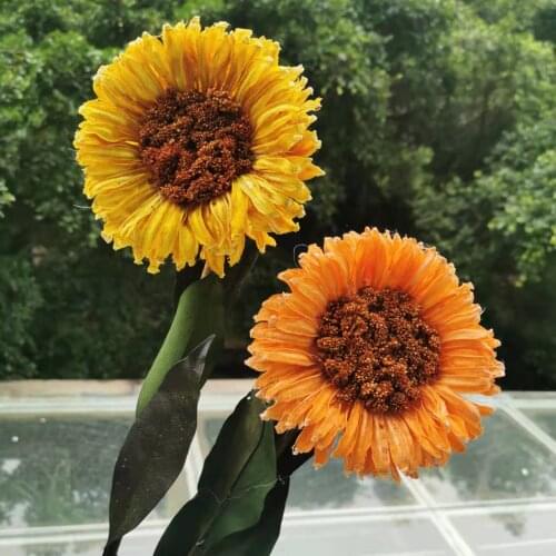 12cm head/2pcs,Natural Craft Dried Sunflower bunch,Real leaves Eternal Display Flower for wedding Home Decoration accessories