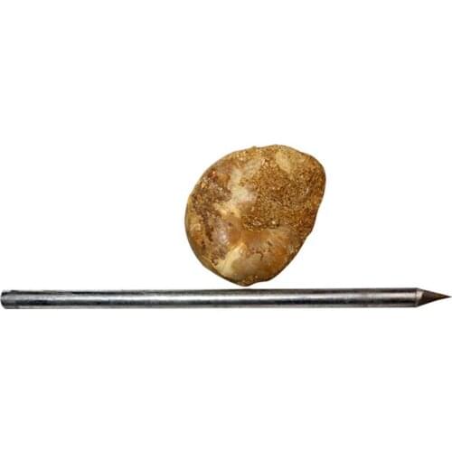 2pcs Archaeological Cleaning Exercise Kit Trilobite Fossil Teaching Specimen