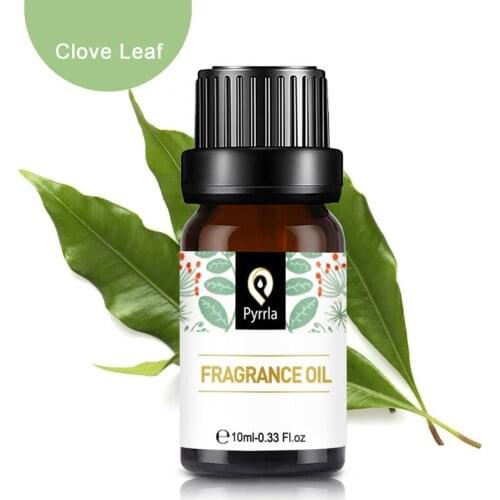 Pyrrla 10ml Clove Leaf Fragrance Oil 10ml Essential Oil For Humidifier Aromatherapy Diffuser Perfume Air Fresh Cool Musk Lemon