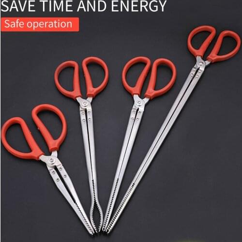 Ricefield eel Crackers finless eel mud loach crab clip stainless steel multi-purpose scissors picks