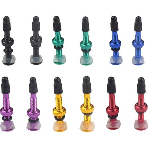 6Colors 2Pcs Mountain Bike Tubeless Tires Presta Valves Vacuum-Nozzle