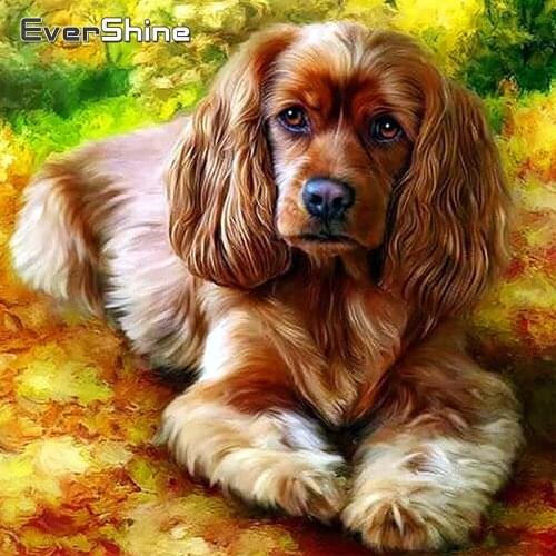 Evershine Diamond Embroidery Full Display Dog Cross Stitch Diamond Painting Animal Rhinestones Pictures Diamond Art Needlework