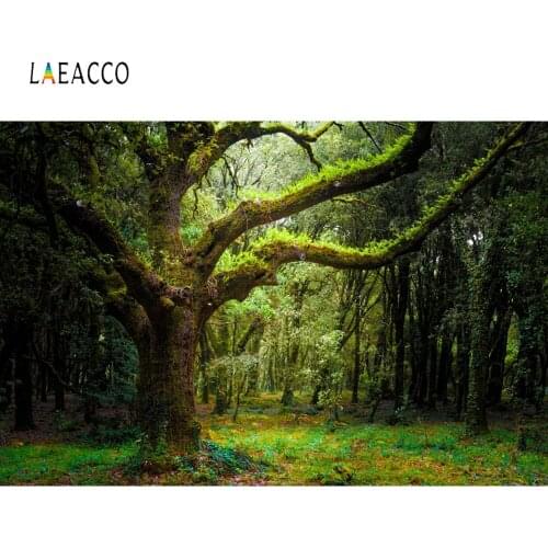 Laeacco Jungle Forest Old Tree Grassland Nature Scenic Photography Background Customized Photographic Backdrops For Photo Studio