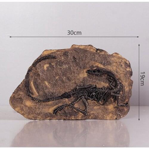 Jurassic Dinosaur Fossil Wall Decoration Dragon Tyrannosaurus Fossil Skeleton Simulation Animal Teaching Model Kids Gifts Toys