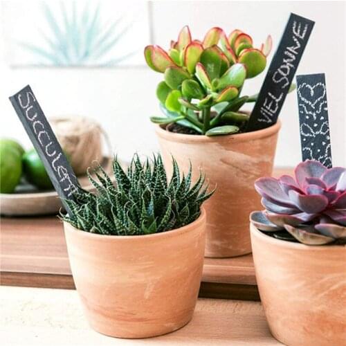 5 Pcs/set Slate Stone Pants Label Inserting Ground Card Used For Plants Saplings Fruits Gardens Potted DIY Plants Labels