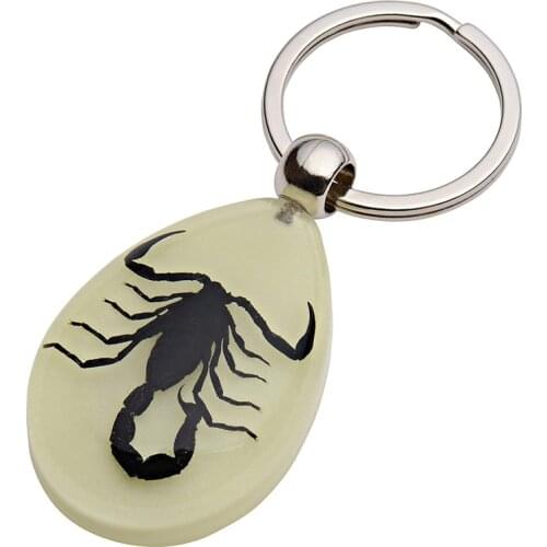Glow-In-The-Dark Real Insect Keychain (Black Scorpion)