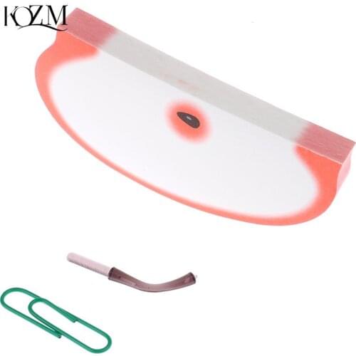Funny Apple Shape Memo Pad, Paper Clip, Real Fruit PE Net Notepads Post Sticky Fruit Apple Note Memo Pads Scratch Paper