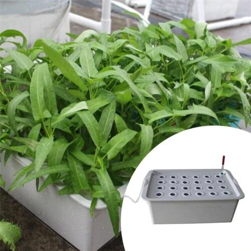 Homend Dwc Deep Water Culture Hydroponic System Growing Kit