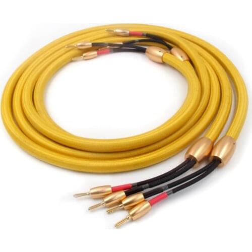 Hifi Accuphase 40th audio speaker cable hifi loudspeaker cable with 24k Gold plated banana plug