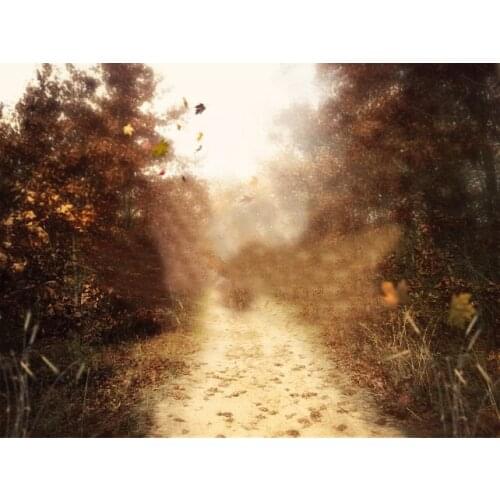 Autumn Forest tree Road baby shower photo backdrop High quality Computer print newborn baby background