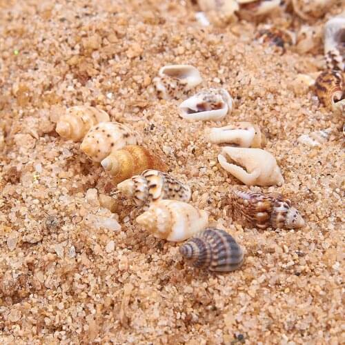 1 Bag Lots Of Interesting Colored Mixed Small Sea Shells Aquarium Nautical Decoration Ornaments Natural Mini Conch Mediterranean