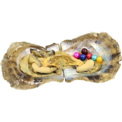 5-10 Round Pearls in Saltwater Oysters, Mix 25 Colors AAA Round Colored Pearls Mini Monsters Akoya Oysters with Multiple ABH901
