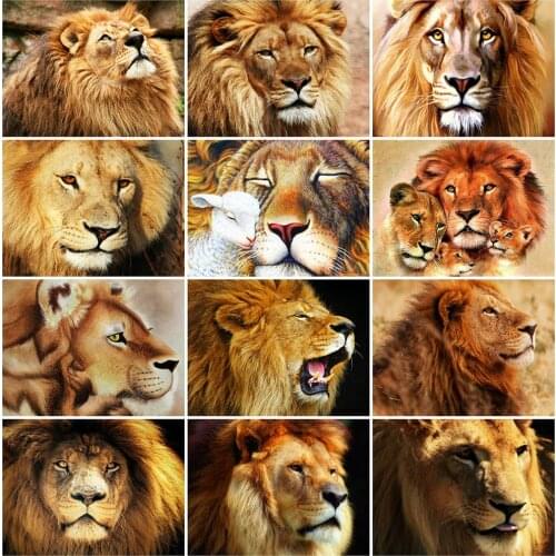HUACAN Full Square Diamond Painting 5D Animal DIY Diamond Art Mosaic Animal Embroidery Cross Stitch Home Decor