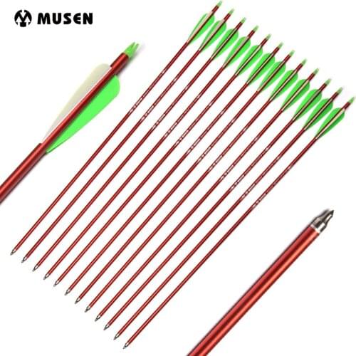 30 Inches Spine 300 Aluminum Arrow Diameter 8.8mm with Replace Arrowhead for Compound Bow Archery Hunting Shooting
