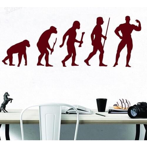 Bodybuilding Evolution Fitness Wall Decal For Sports Room Vinyl Wall Sticker Decor Calssroom Art Wall Paper For Gymnasium Y166