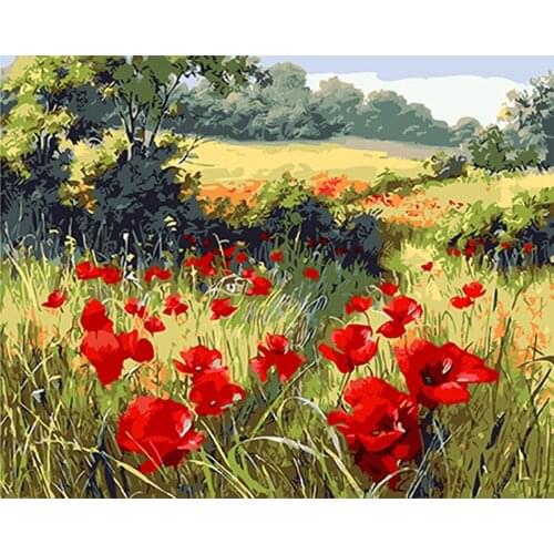 Red poppy DIY Framed Oil Painting By Numbers Red Flowers Window Pictures Canvas Painting For Living Room Wall Art Home Decor