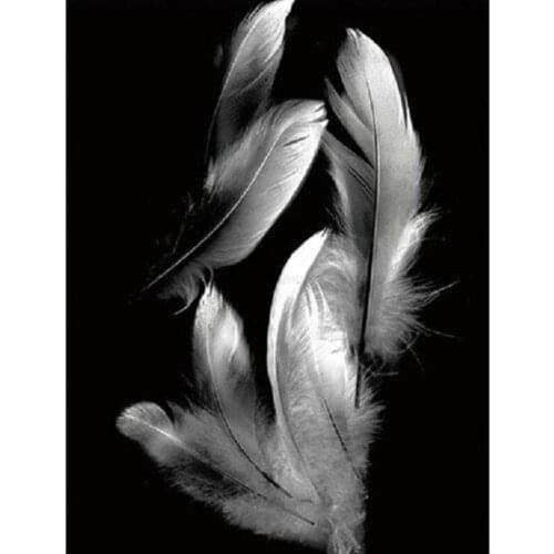 Feather diamond art painting mosaic embroidery black white picture puzzle rhinestones stickers home decor needlework craft diy