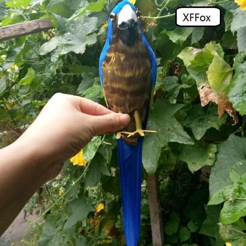 Real life blue parrot model foam&feather simulation Budgerigar bird gift about 42cm xf0176