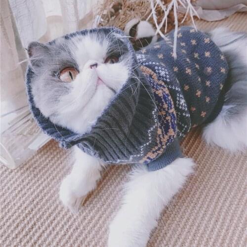 Cat Sweater