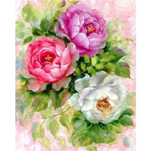 Peony China Rose Flower DIY Digital Painting By Numbers Modern Wall Art Oil Painting Christmas Gift Home Decor Big Size