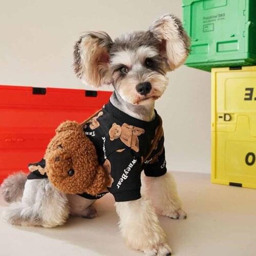 Warm dog clothes for autumn new style bear print cotton sweater Teddy fight Corgi Schnauzer small and medium dog pet clothing