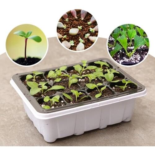 1PCS 12Holes Nursery Pots Insert Seeding Growing Box for Flower Plant Succulent Plant Seed Tray Seed Growth Case Garden Supplies