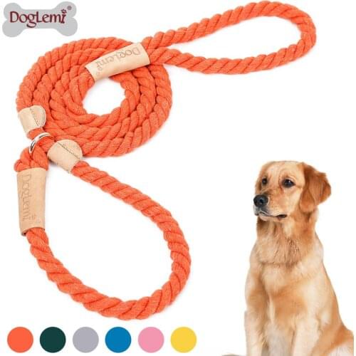 P Chain Dog Leash Slip Collar No Pull Training Durable Dog Leash Cotton Leash 1.7M