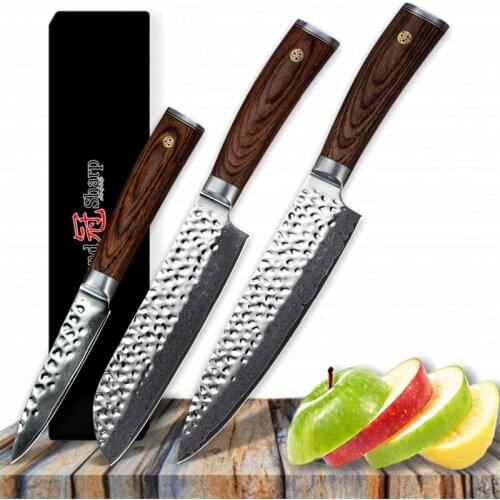 Grandsharp 3 Pcs Damascus Knife Set Chef Santoku Paring Knife VG10 Japanese Damascus Steel Kitchen Knives with Gift Box