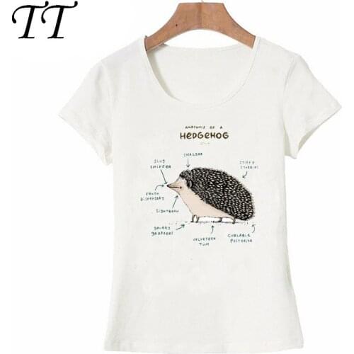 Harajuku Anatomy of a Hedgehog print T-Shirt 2018 new summer novelty women t-shirt Simple style maiden Tops fashion ladies Tees