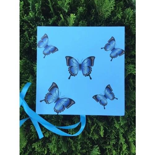 Butterfly New wholesale eyelash packaging box 2 pairs lash boxes package faux 25mm mink lashes strip empty with mirror