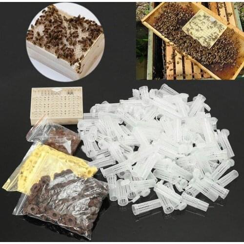 120pcs Plastic Bee Cell Cup Better Breeding and Management of Bees Queen Rearing System Cultivating Box Beekeeping Tool