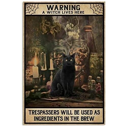 A Witch Lives Here Cat For Vintage Metal Tin Signs Iron Painting Plaque Wall Decor Bar Pub Man Cave Cat Club Funny Bathroom