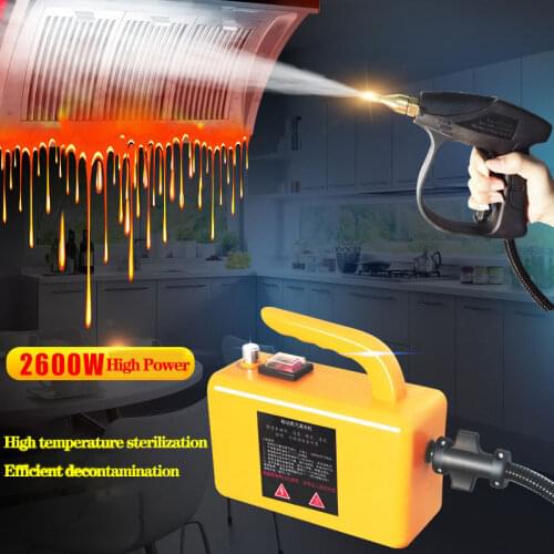 High Temperature Steam Cleaner 2600W For Cleaning Machine Household Kitchen Automobile Air-Conditioning Oil Fume Equipment