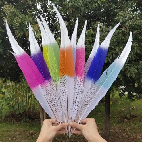 100 pcs 10 Colors Natural Silver Pheasant Tail Feather 75-80cm/30-32inches For Wedding Christmas Home Craft New Year Decoration
