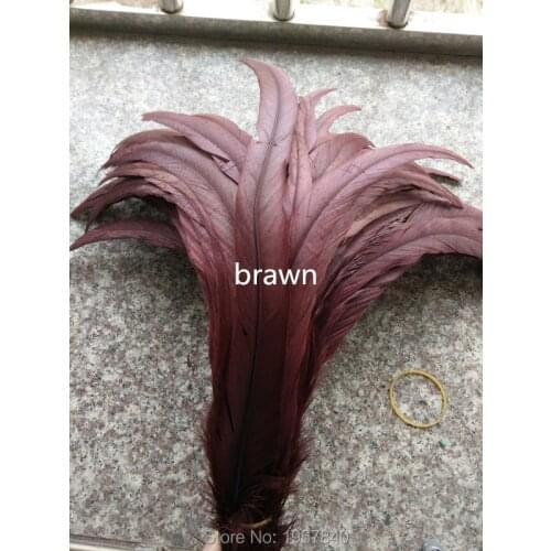 Wholesale 100 pcs beautiful brown rooster tail feathers 12-14 inches 30-35 cm Dance Celebration decoration