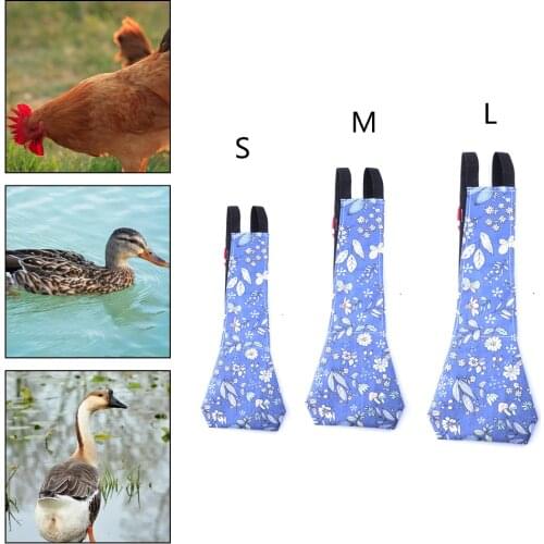 Pet Diaper V Shape Chicken Duck Pigeons Poultry Diaper Nappy Pet Chickens Ducks Birds Cleaning Care Supplies Clean Product Hen