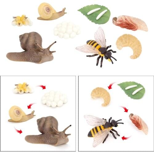 Educational Kids Animals Growth Process Figure Toy Set Learning Pretend Play