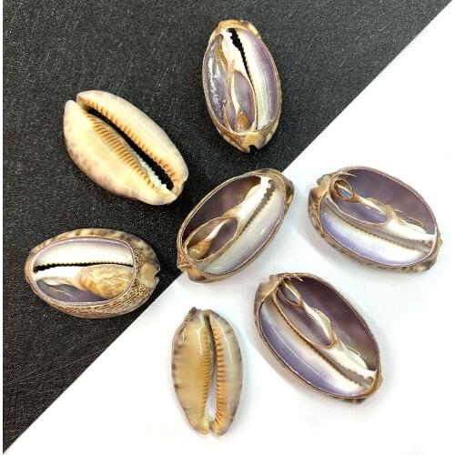 Natural Shell Pendant, Sliced Shell Beads for DIY Jewelry Making, Home Decoration Wind Chime Accessories 5pcs Size 15x30-20x50mm