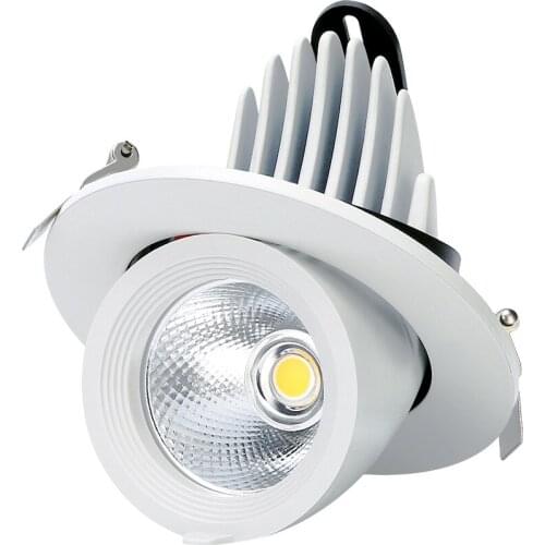 Dimmable LED Spot Down Light 10W 15W 25W 30W Trunk Downlight AC110V 220V with Driver Recessed Ceiling Indoor Led Light For Home