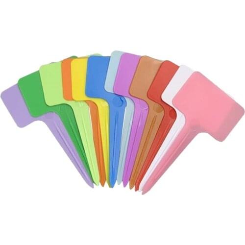 Colorful Plant Markers Garden Bonsai Succulent Seedings Tags Sign Pvc Gardening Labels Stake on Soil Paint Sticks