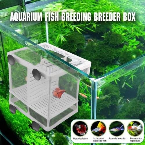 BearPaw Equipment For Aquariums