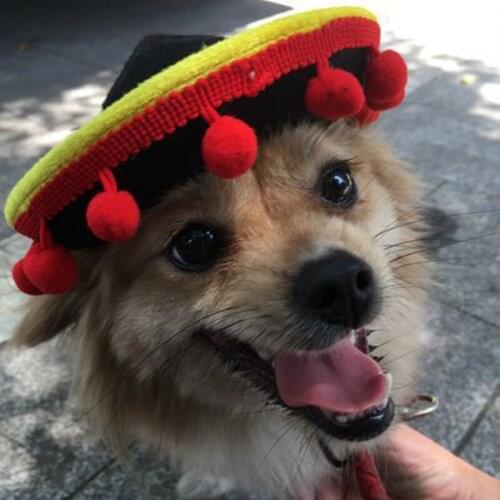 Pet Cat Dog Mexican Style Beach Hat Head Accessories Pompom Dog Cat Cap Outdoor Party Headwear Black