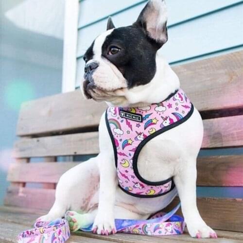 French Bulldog Harness Printed English Bulldog Frenchie Reversible Harness Puppy Small Dogs Vest for Pug Walking Training