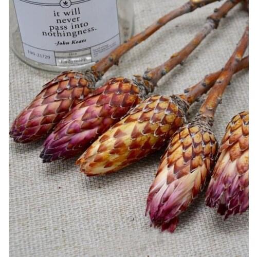 5pcs Dried Preserved Flower For Craft Gift Material Accessory Decoration DIY Flower Bouquet Making