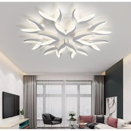 HSHIXINMAO Creative Acrylic LED Ceiling lamps Residential Indoor Ceiling Lights Commercial & office Lighting fixture