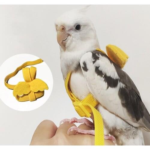 Pet Bird Training Harness Leash Suit Parrot Outdoor Flying Don't Hurt The Wings Rope Cockatiel Supplies Budgerigar Accessories