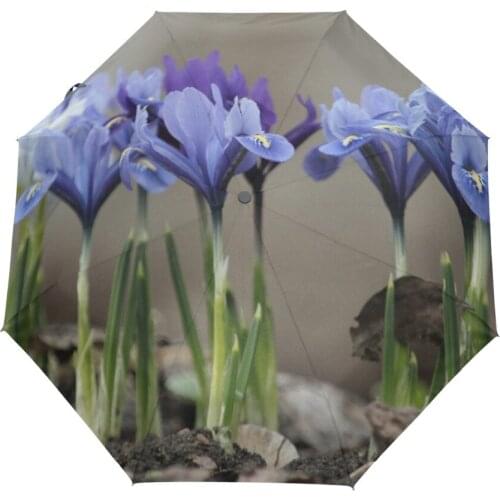 Purple Irises Printed Automatic Umbrella Wind Resistant 3 Folding Automatic Umbrella Male Auto Luxury Big Windproof Umbrellas