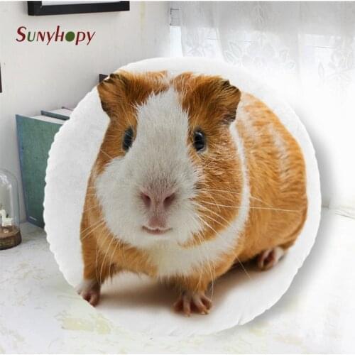 Guinea Pig Round Decorative Cushion Cover Home Decor Peach Skin Pillowcase For Sofa 40cm50cm60cm In Diameter-WJY