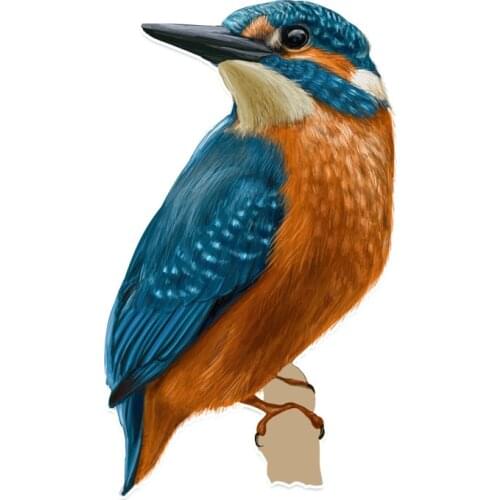 Hot Sell Creative Coolest A humming Bird Flight Car Sticker Motorcycle Decor Superior Quality Vinyl Sunscreen Anti-UV PVC